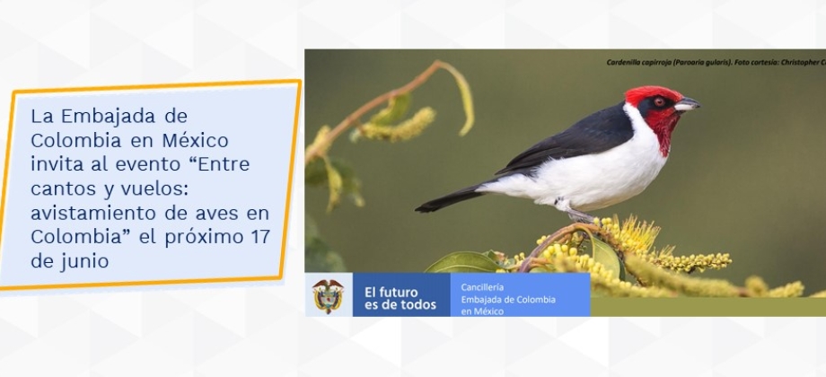 La Embajada de Colombia en México invita al evento “Entre cantos y vuelos: avistamiento de aves en Colombia” el próximo 17 de junio