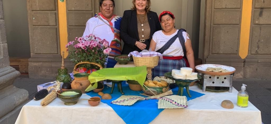 Embajadora Patricia Cárdenas participó en el acto de cierre de la semana de la cooperación iberoamericana en México