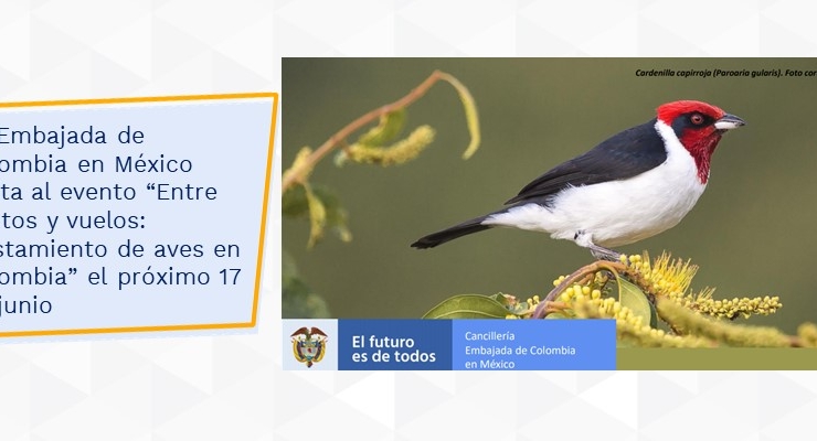 La Embajada de Colombia en México invita al evento “Entre cantos y vuelos: avistamiento de aves en Colombia” el próximo 17 de junio